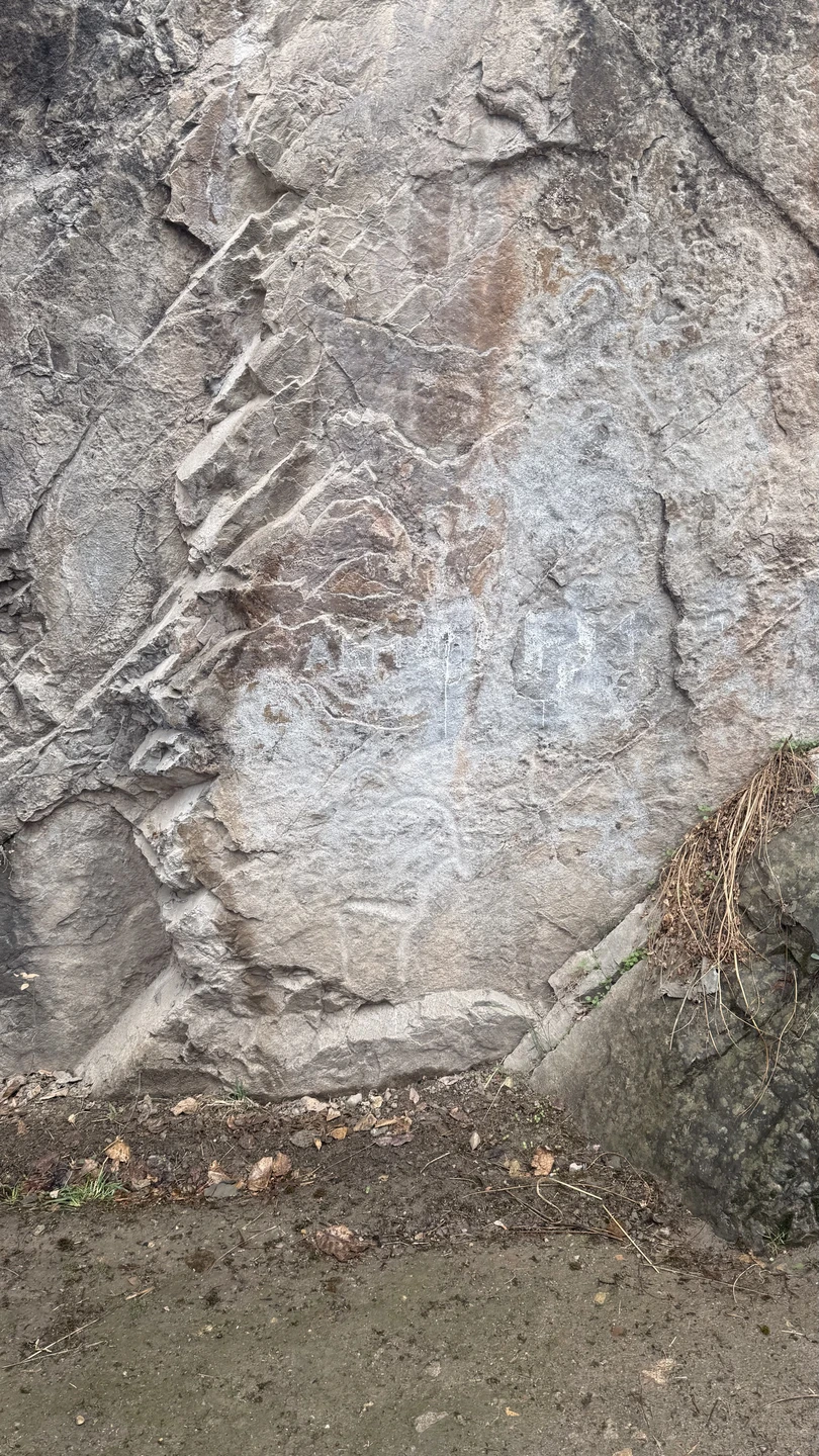 Эльдор супер гид, очень дружелюбный, добрый и открытый. Корректировал маршрут под нас, угощал чаем и рассказывал