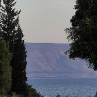 reviews img