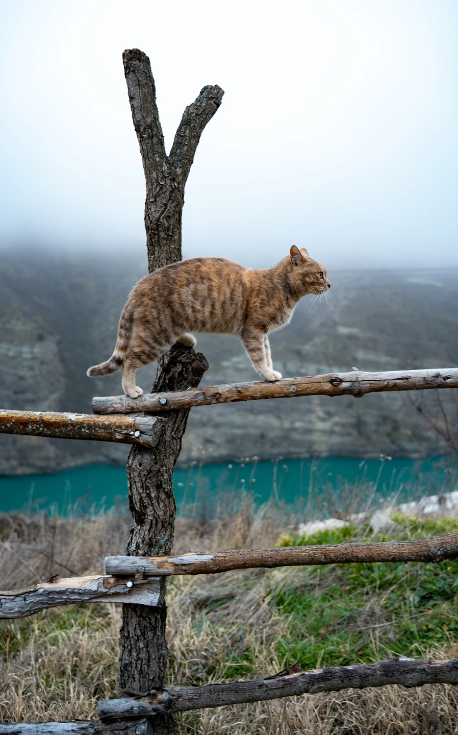 Все понравилось! Кто думает, стоит ли ехать зимой, я считаю, что все безопасно и очень красиво