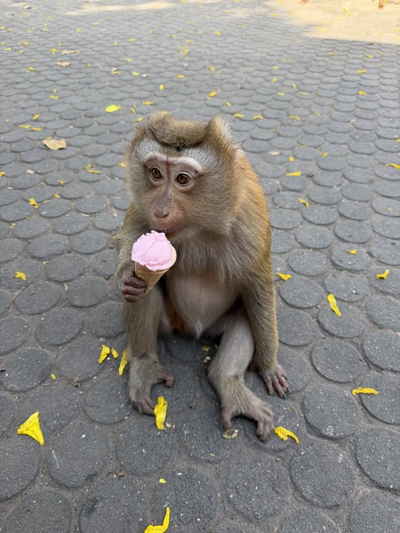 отличная экскурсия, отличный гид, были с ребенком 1,3 года, все понравилось