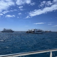 reviews img