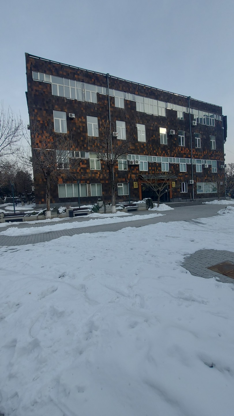 Советский модернизм в Ереване - с современным художником (Галина)