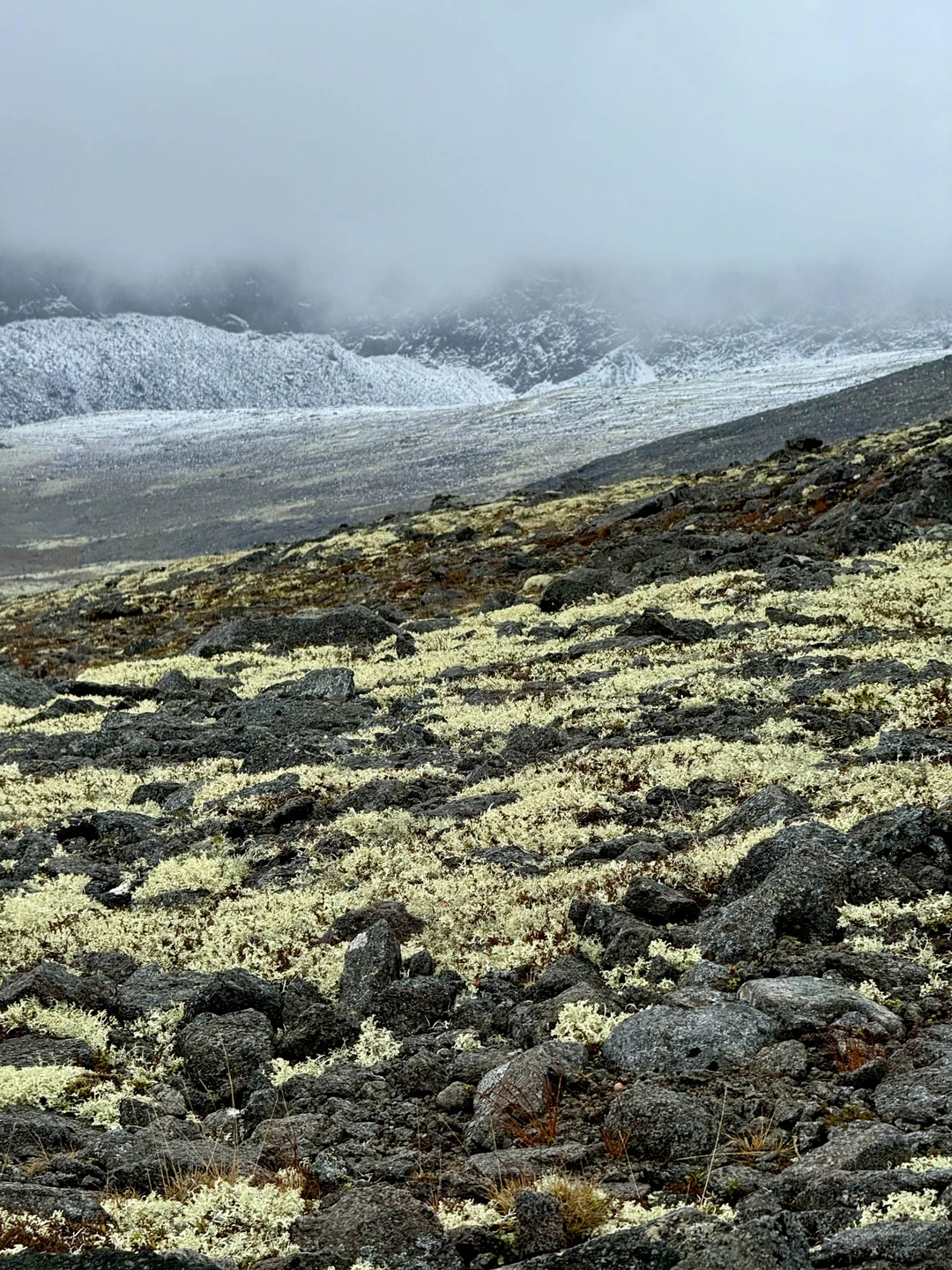 Это не экскурсия, а самый настоящий поход и целое приключение, которое надолго остаётся в памяти. За