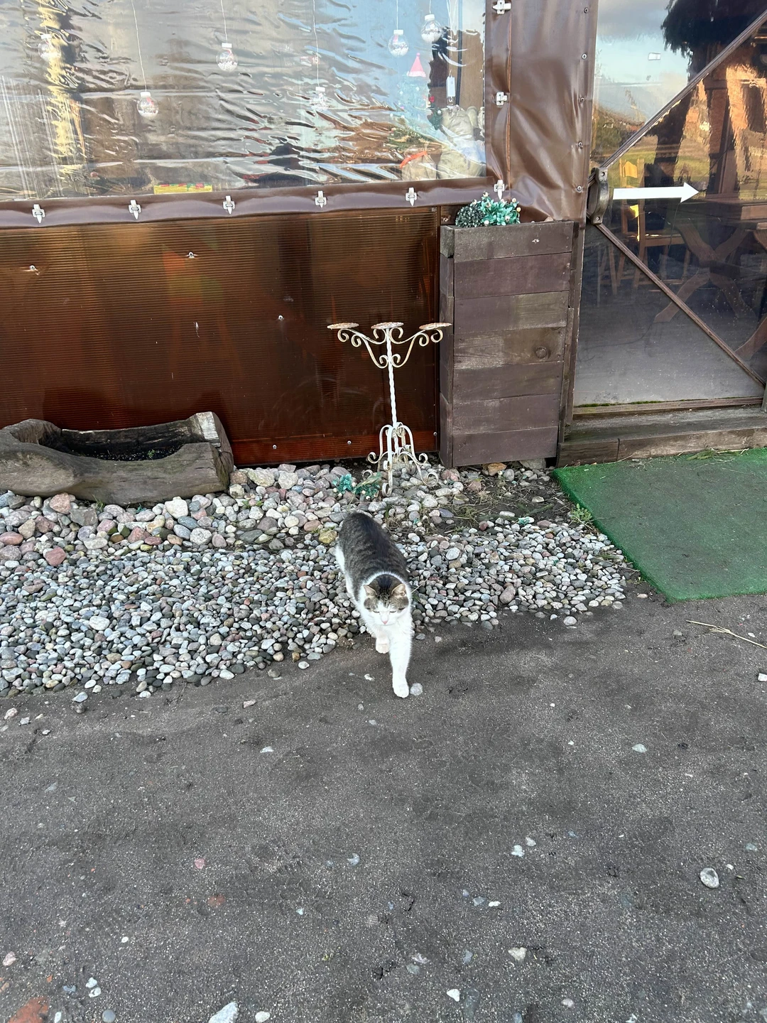 Экскурсия понравилась. Автобус комфортабельный, экскурсовод отличный! Времени на все хватило. Накупили вкусняшек (конфеты с сыром, мммм)