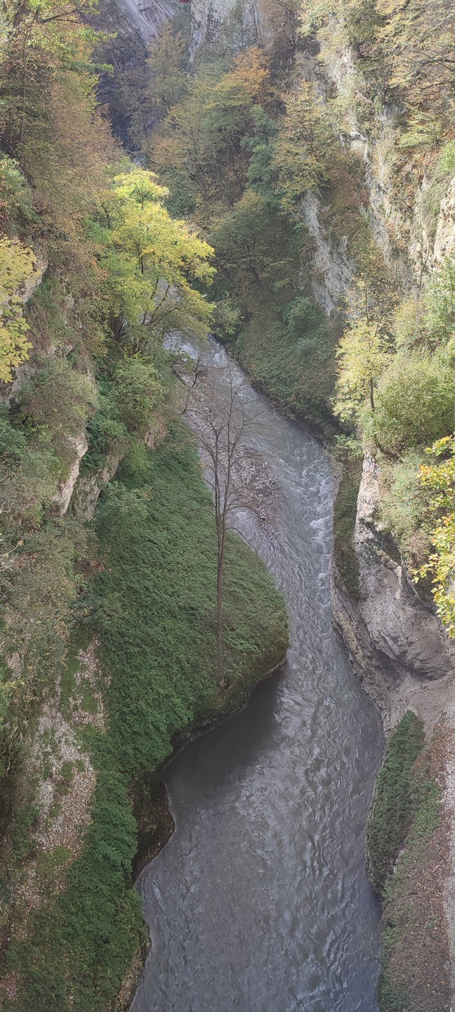 В Аргунское ущелье - за водопадами, древними башнями и национальными лепешками (Антон)