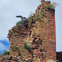 Фото отзыва 1: экскурсия "Старинные калининградские маяки"