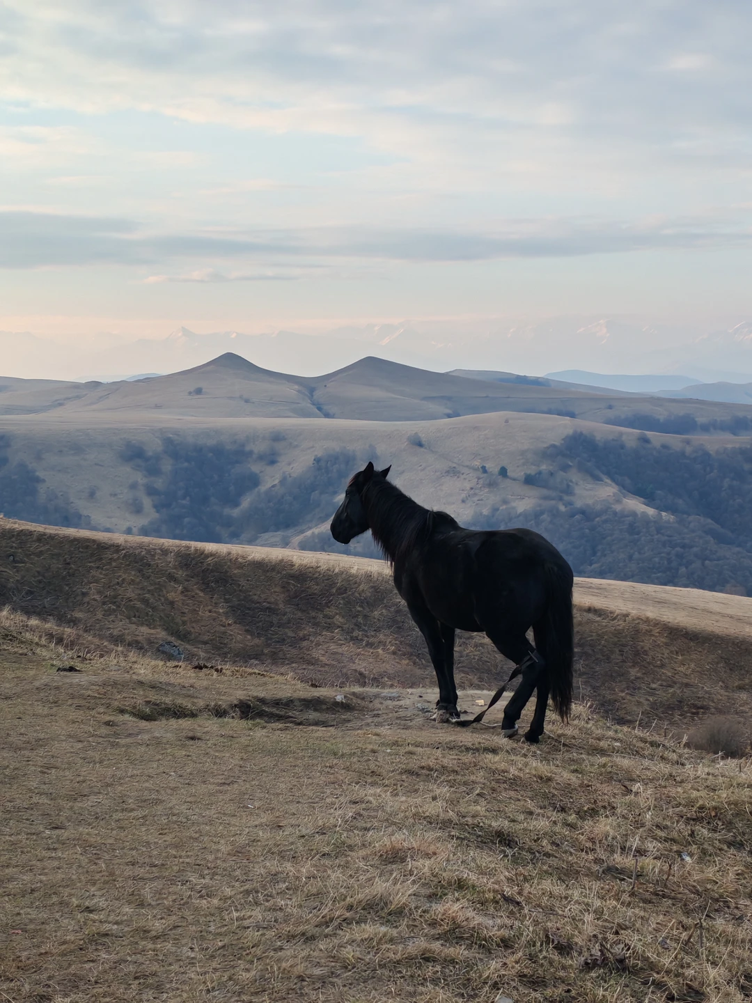 Состоялось увлекательное путешествие в Домбай, в сопровождении гида Темирлана, самого лучшего и красивого гида Кавказа))). Темирлан