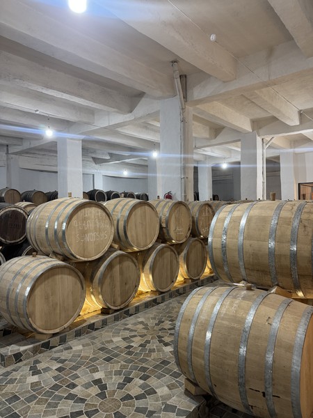 экскурсия была интересная, наш гид Давит нас вовремя встретил, комфортно везде сопровождал и всегда отвечал на наши вопросы