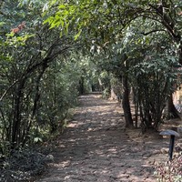 Фото отзыва 1: экскурсия "Дикое гнездо: отдых в экокоттеджах в горах"