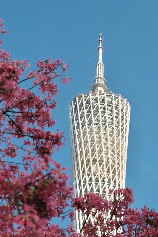 Гуанчжоу и Шэньчжэнь только для вас: исторические кварталы и современные районы