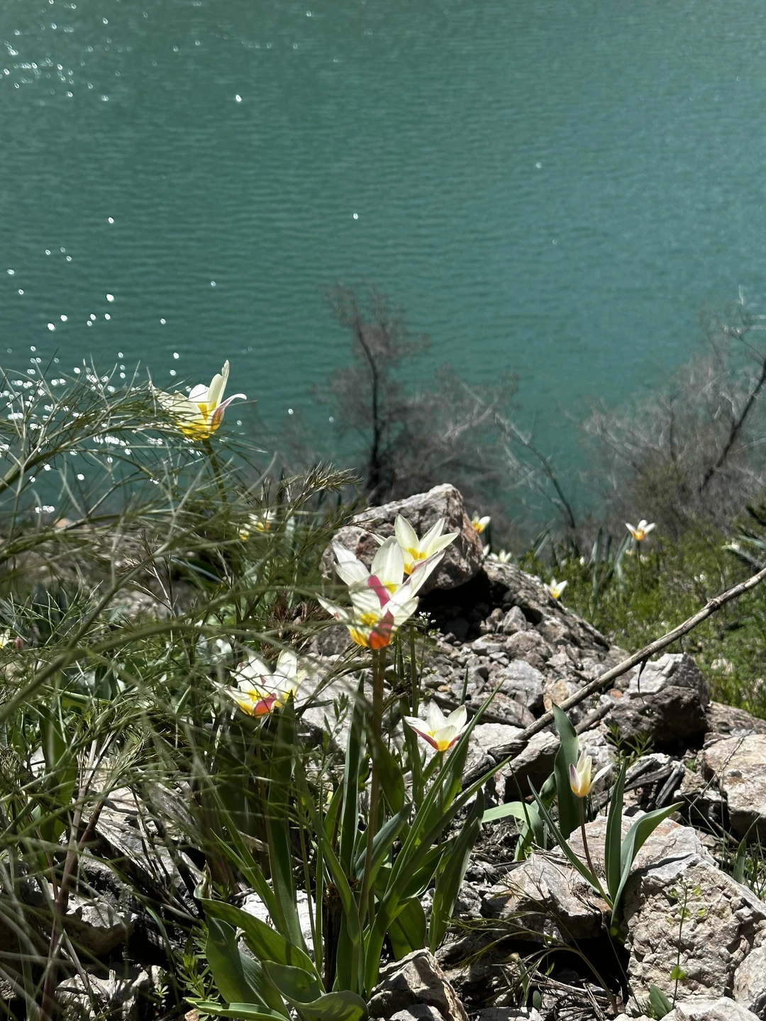 Эта экскурсия была последней в нашем отпуске и стала настоящей жемчужиной впечатлений. Понравилось все. В первую