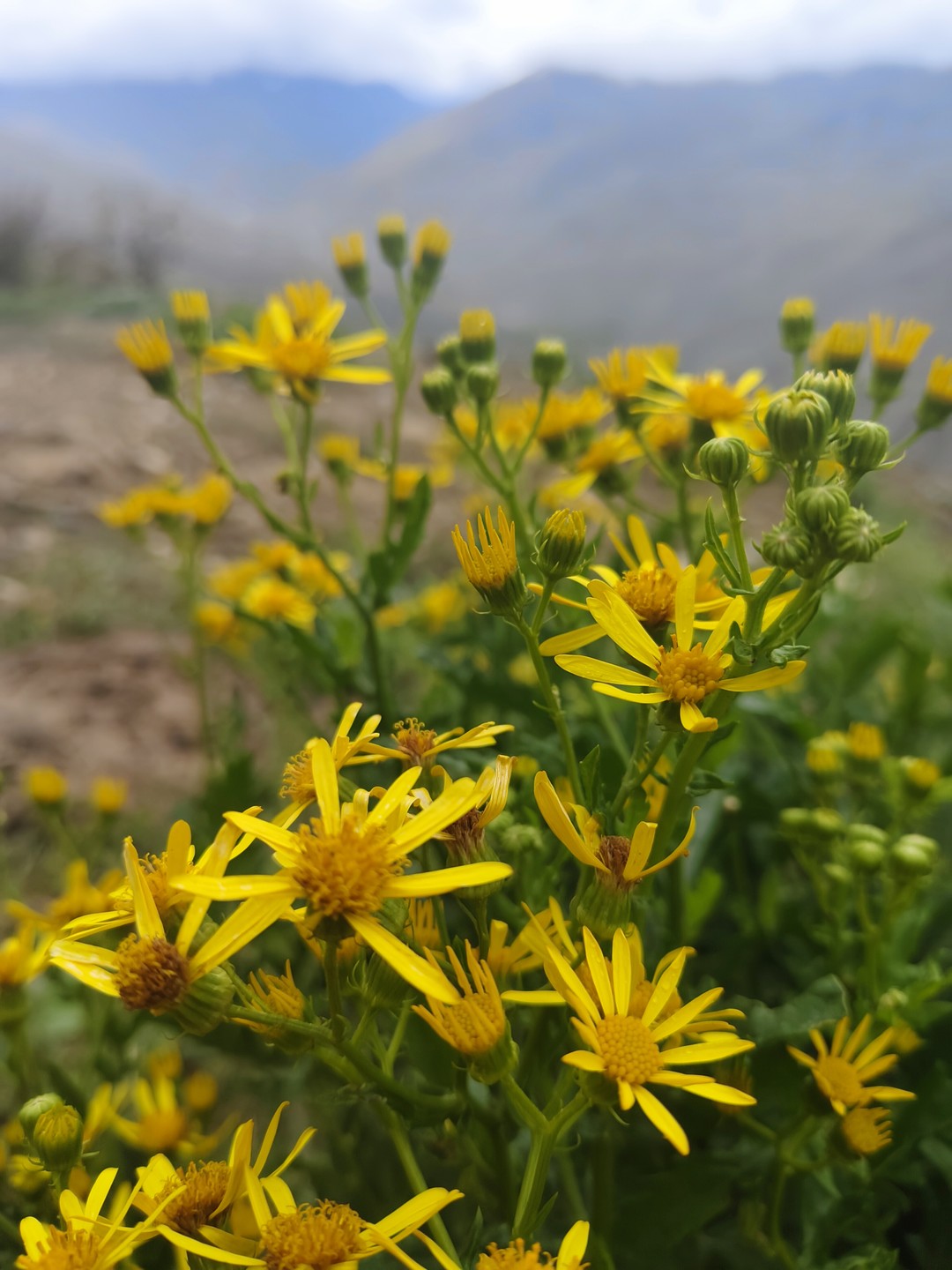 Луиза - вы лучшая! С вами мы чувствовали себя максимально комфортно. Заявленные 10 часов с легкостью