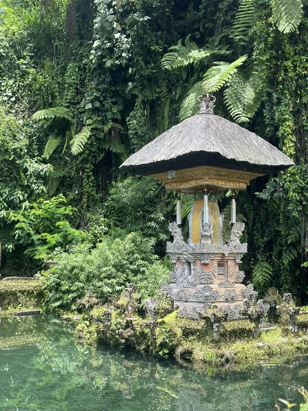 Прекрасно организованная экскурсия. Полная и насыщенная программа. Все четко по времени и без задержек. Осталась полностью