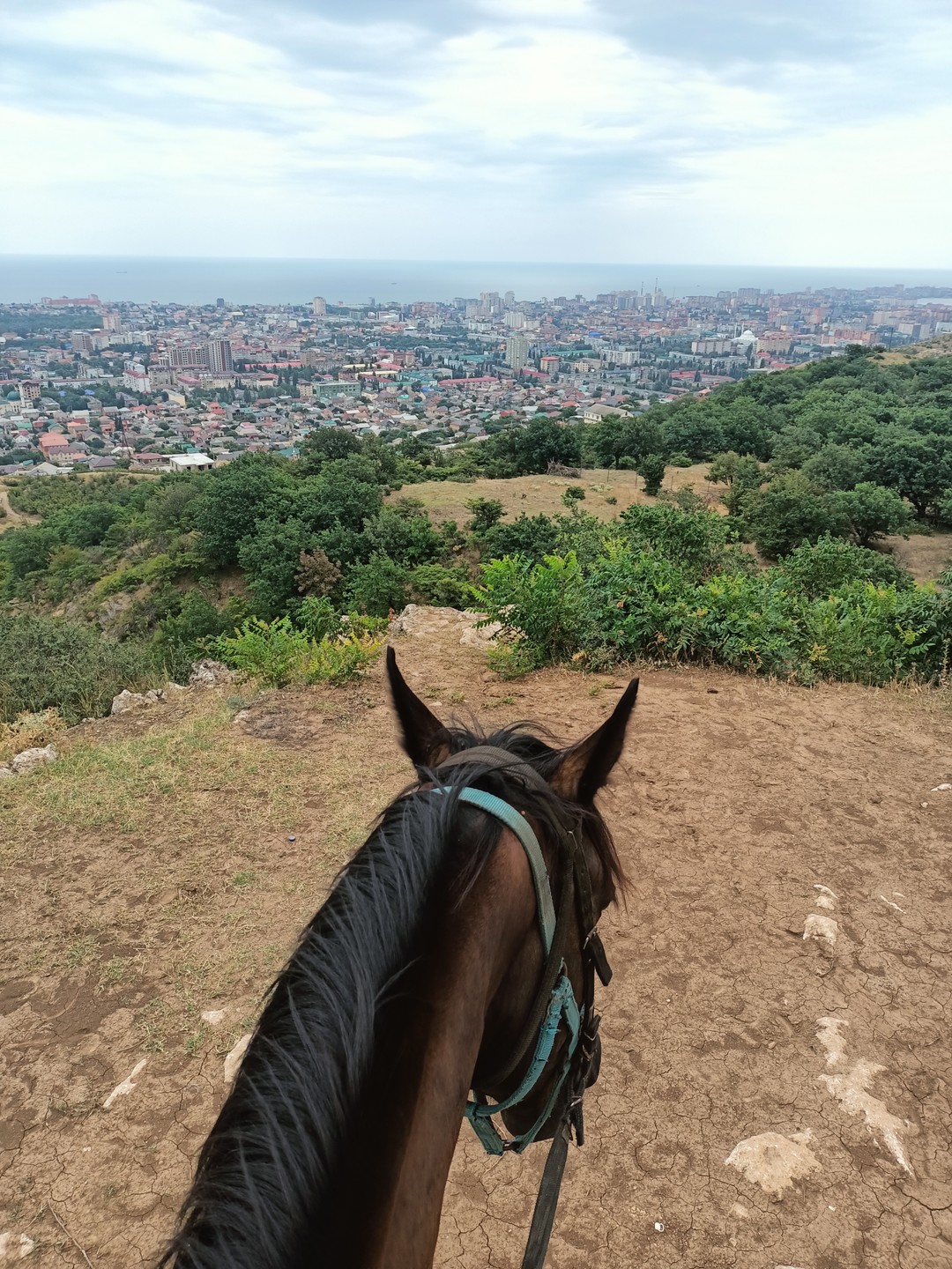 Мы идём с конём: прогулки на лошадях в Агачауле (Филимонова)