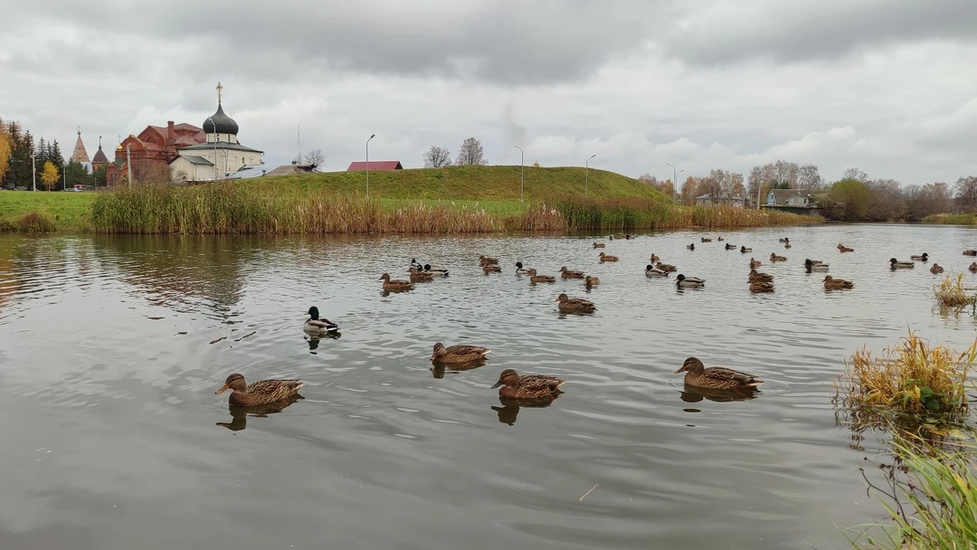 Очень толковая и душевная экскурсия по маленькому, но важному для истории России городу. Прошлись по кремлёвскому
