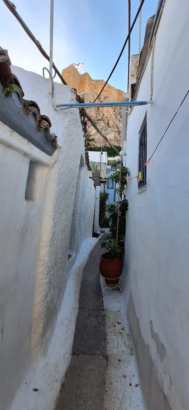 Большое спасибо Александру за экскурсию по Акрополю и старому городу - содержательную и увлекательную одновременно