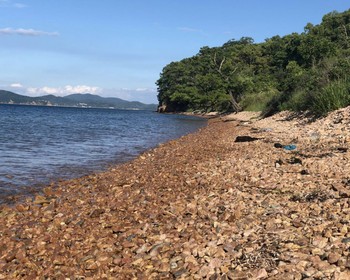 О. Рейнеке - о. Путятина - кекуры Пять пальцев - о. Аскольд