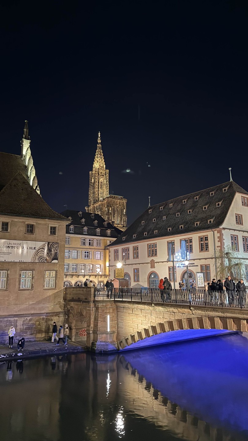 Очаровательный Страсбург в сопровождении очаровательной Марины раскрыл все свои тайны и сокровища. Легко и незаметно пролетели