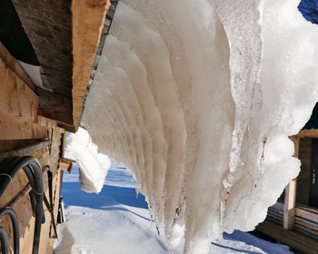 На санях по снежному лесу