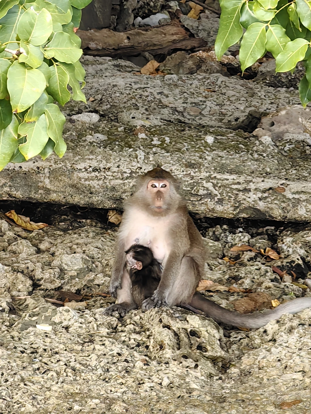 Прекрасная поездка и организация процесса. Очень рады, что группа небольшая оказалась, всего 14 человек, было очень