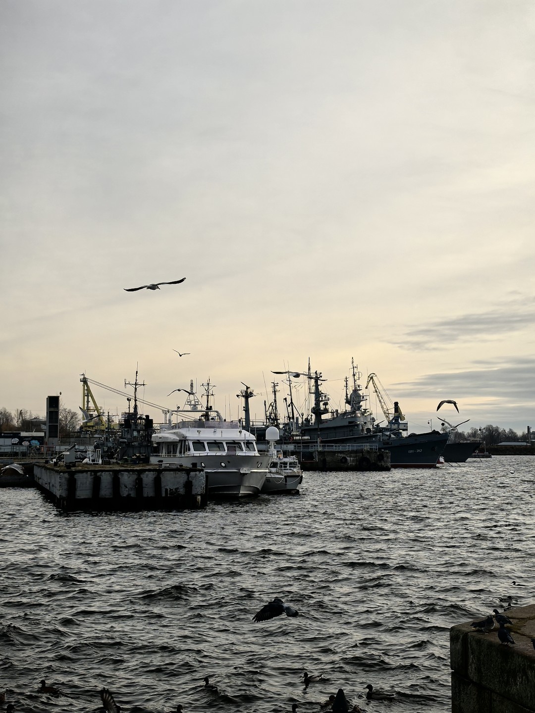 Квест-экскурсия по Кронштадту «Почувствуй себя моряком!» (Екатерина)