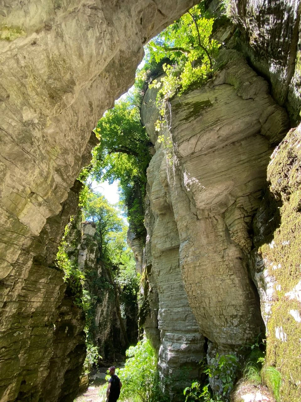 Владу огромное спасибо!
