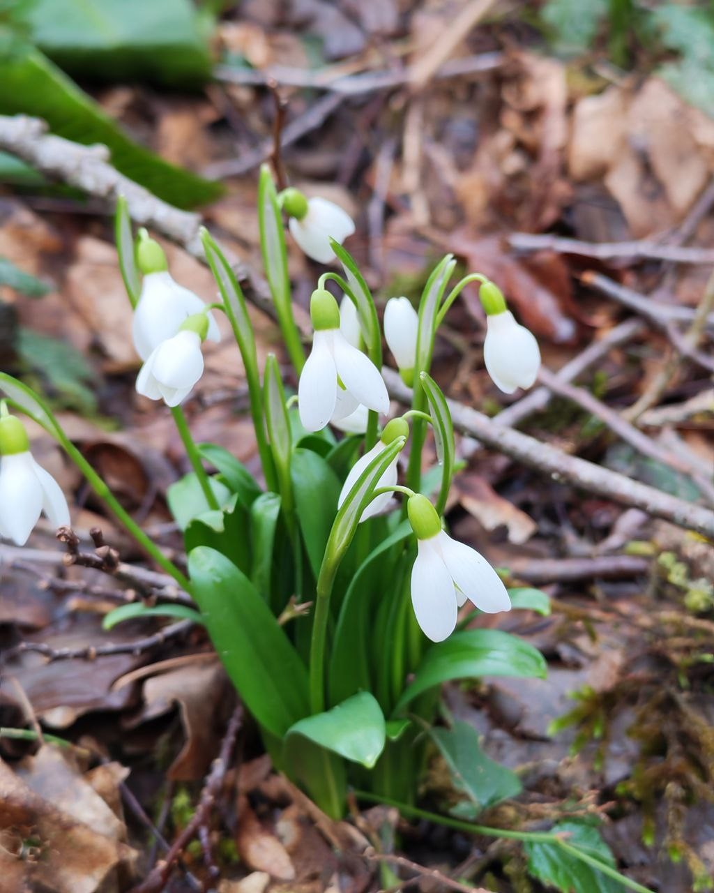 Если бы можно было поставить 1000 пятерок, я бы это сделала!
