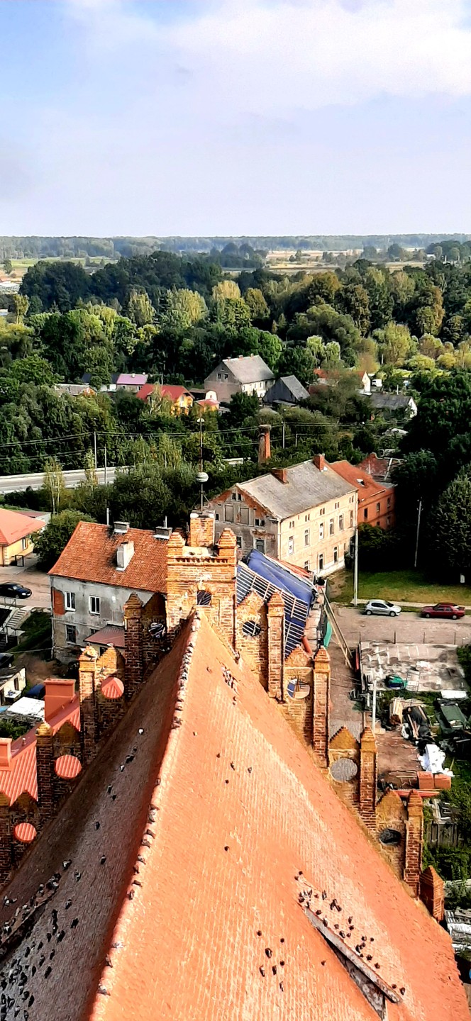 Приехали в Калининград на 4 дня и хотелось посмотреть не только город, но и другие достопримечательности,