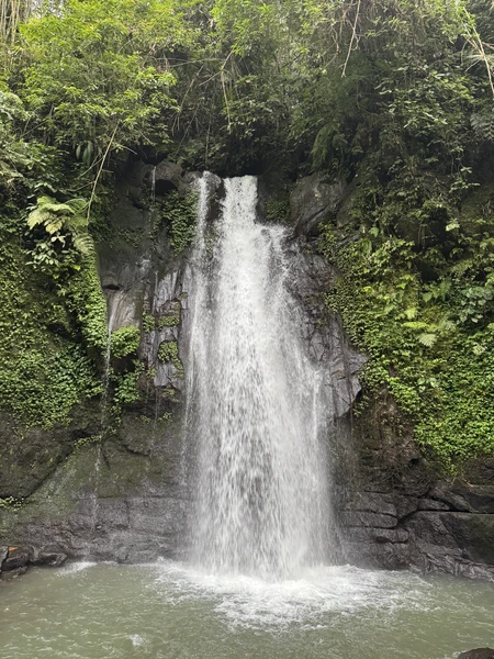 Экскурсия отличная! За один день можно ознакомиться с достопримечательностями и жизнью острова! Наш гид Ари мог