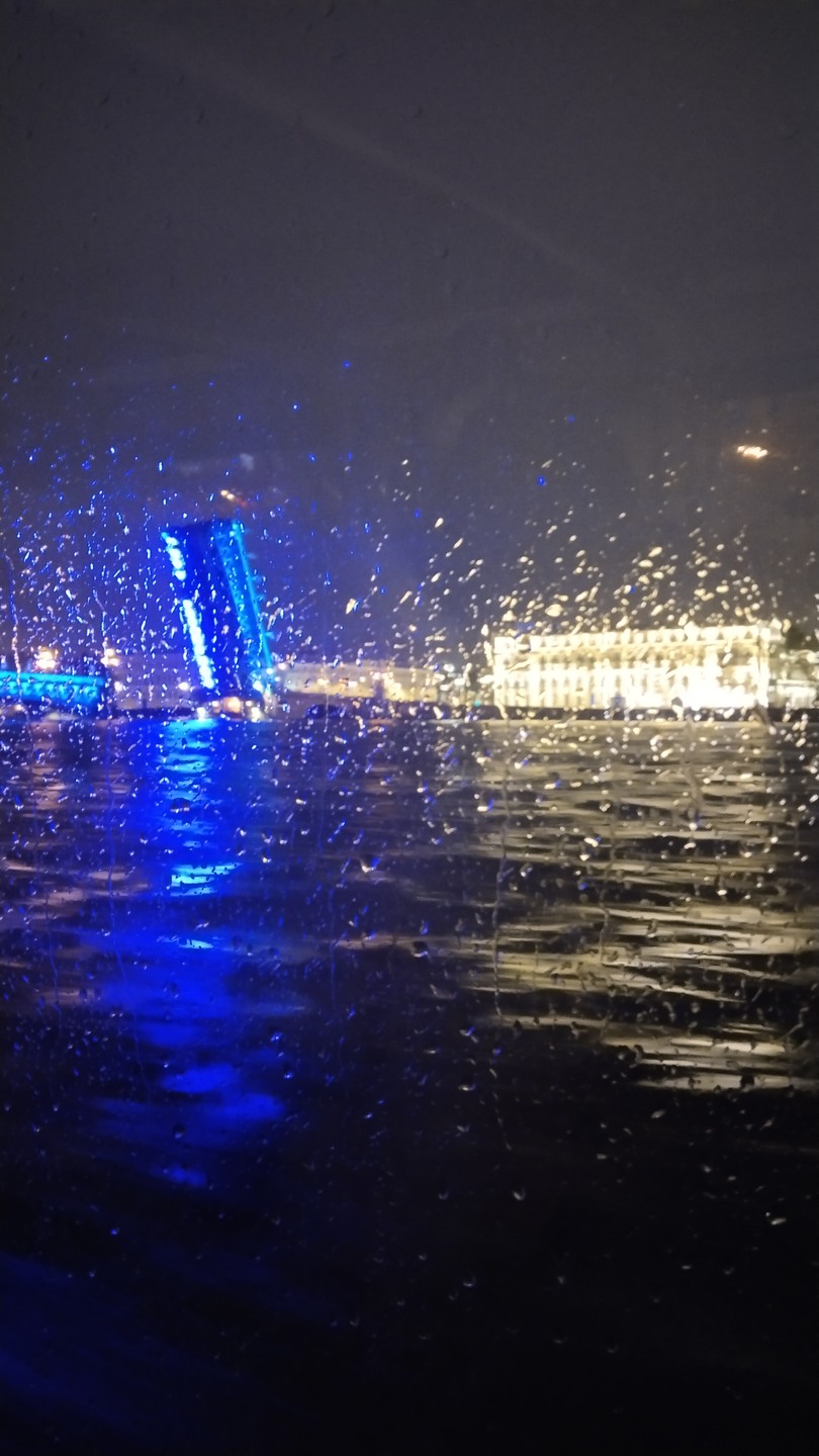 Ночная теплоходная прогулка на разведение мостов с живой музыкой (Светлана)
