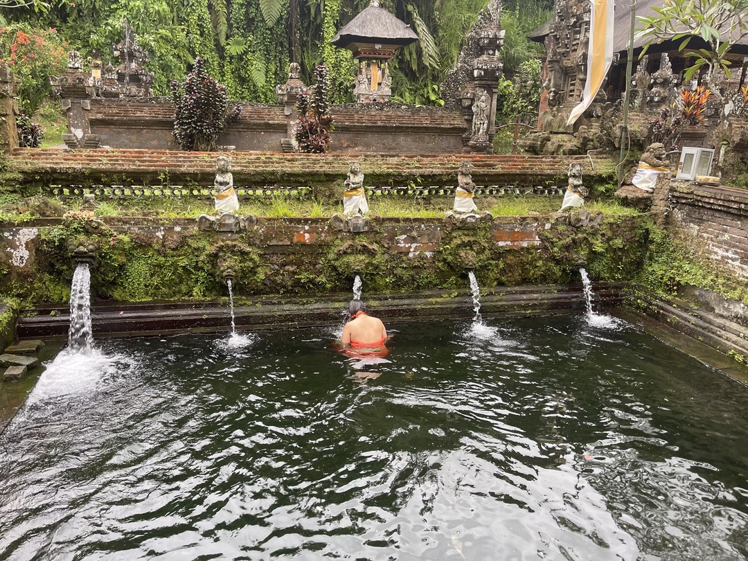 У меня была индивидуальная однодневная экскурсия с Вайаном и этот день оставил у меня массу позитивных