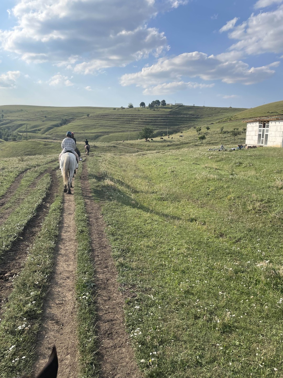 Очень понравилась экскурсия! Ездили семьей нас 4 человека с двумя подростками,все остались довольны. Организаторы веселые ребята