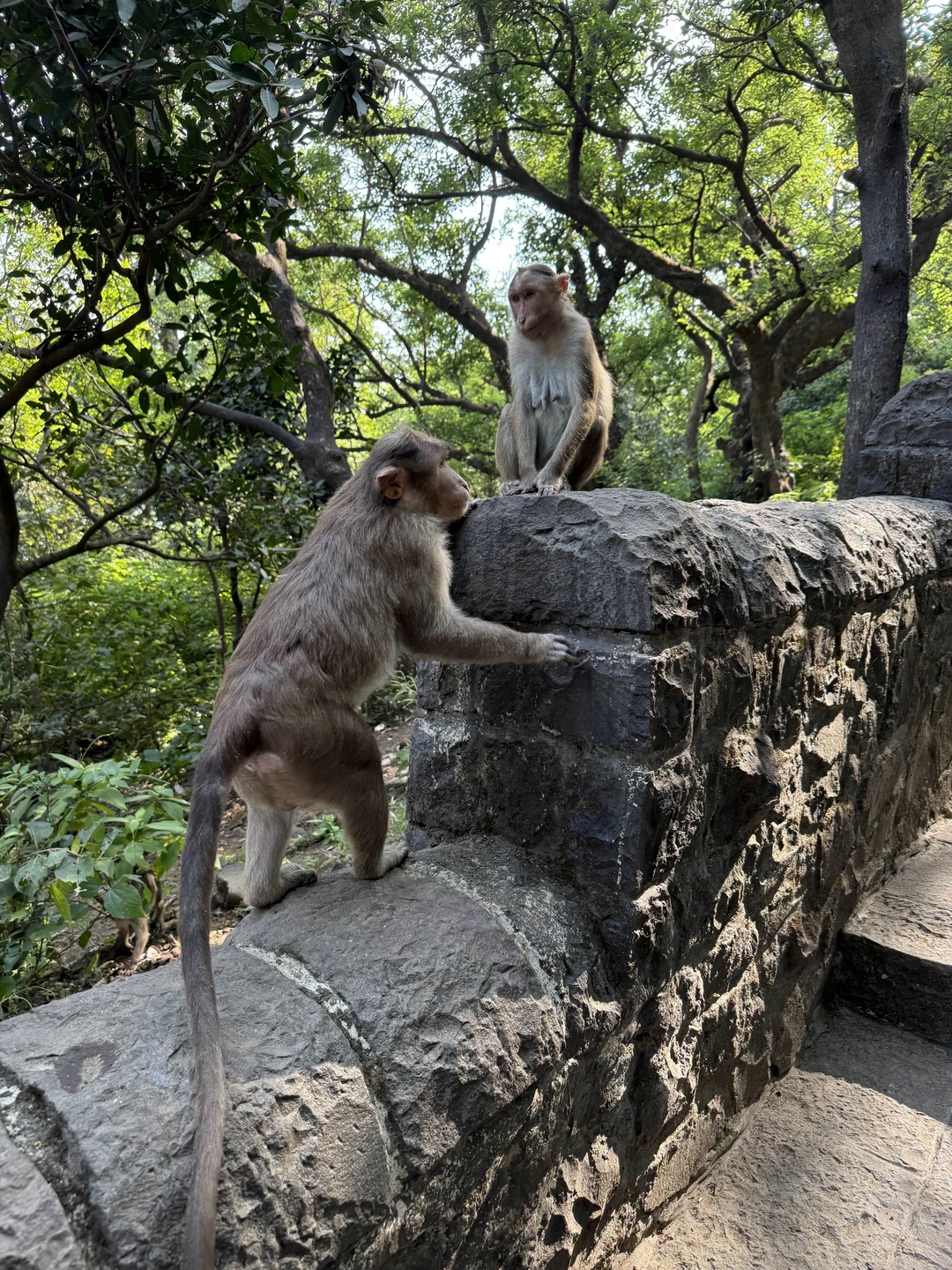 Аниса - прекрасный русскоязычный гид. Отличное и очень глубокое знание материала. Хорошо продуманный маршрут, чистая машина и аккуратный водитель