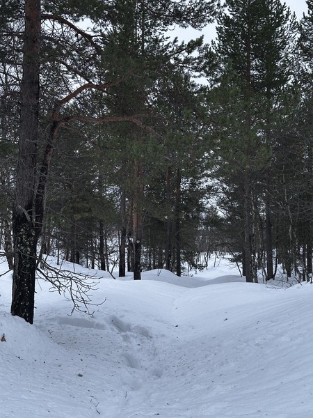 Благодарим Анатолия за чудосно организованную поездку! Получили массу приятных впечатлений, снегоступы вернули ощущения детства и подарили