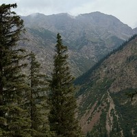 reviews img