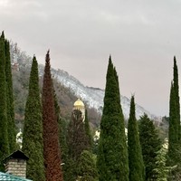 Фото отзыва 3: экскурсия "﻿Индивидуальная экскурсия по солнечной Абхазии"