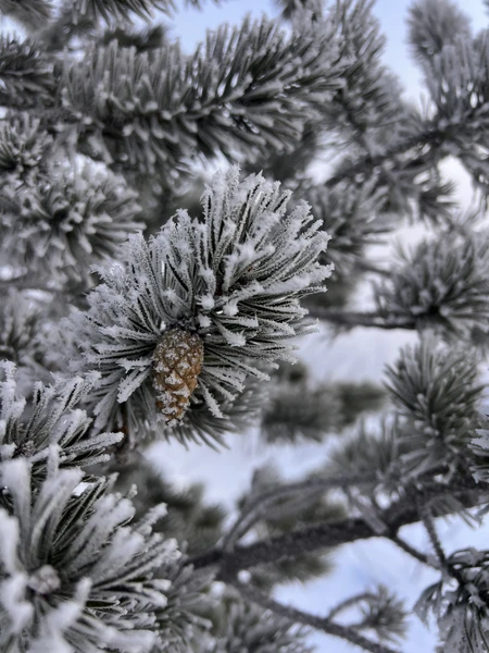 Благодарим Марию за проведенную экскурсию!