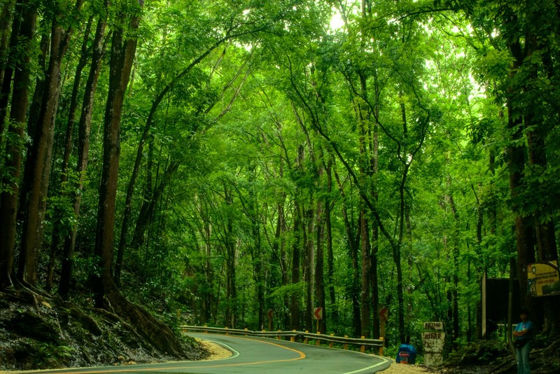 Экзотика острова Бохол