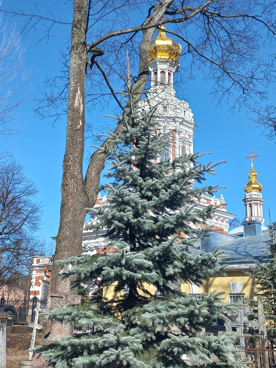 К Ксении Петербургской на Смоленке: о почитаемой святой и не только (Елена)