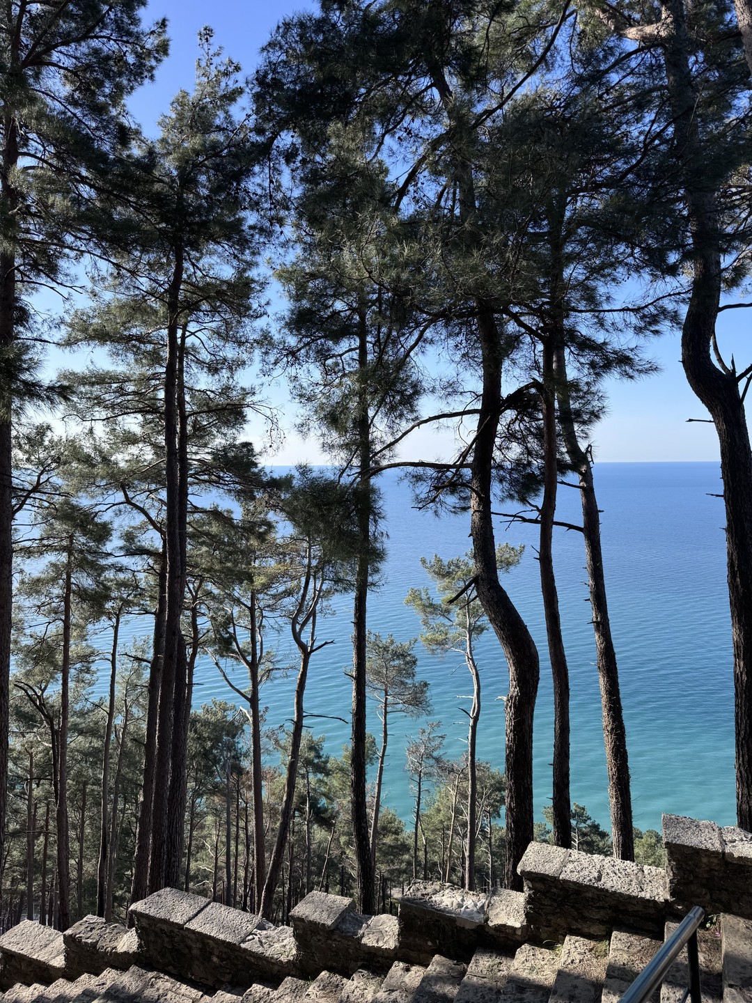 Решила организовать себе индивидуальную экскурсию на день рождения к озеру Рица. Это было отличное решение и