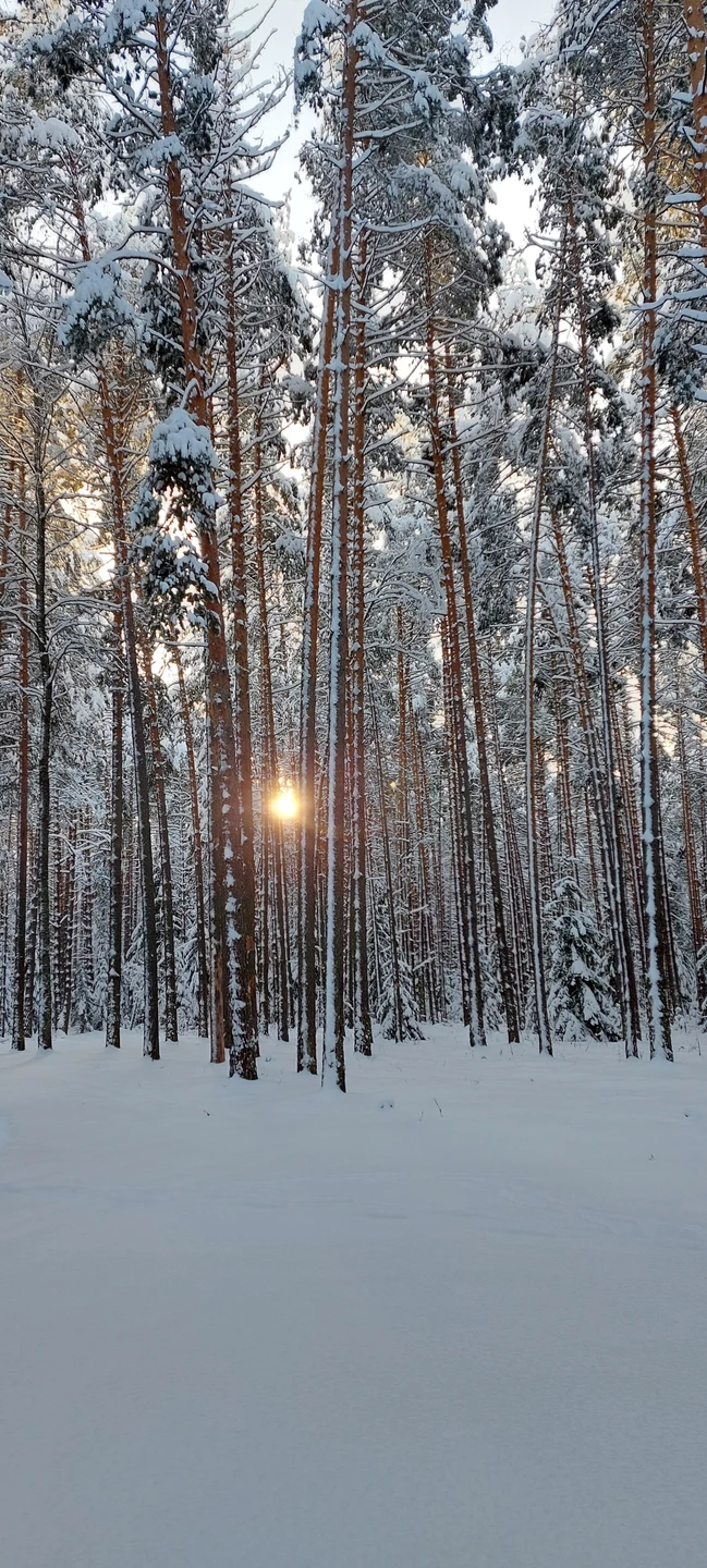 Ездили на экскурсию 2-го января 2026г. Сергей забрал нас от места проживания и доставил туда же