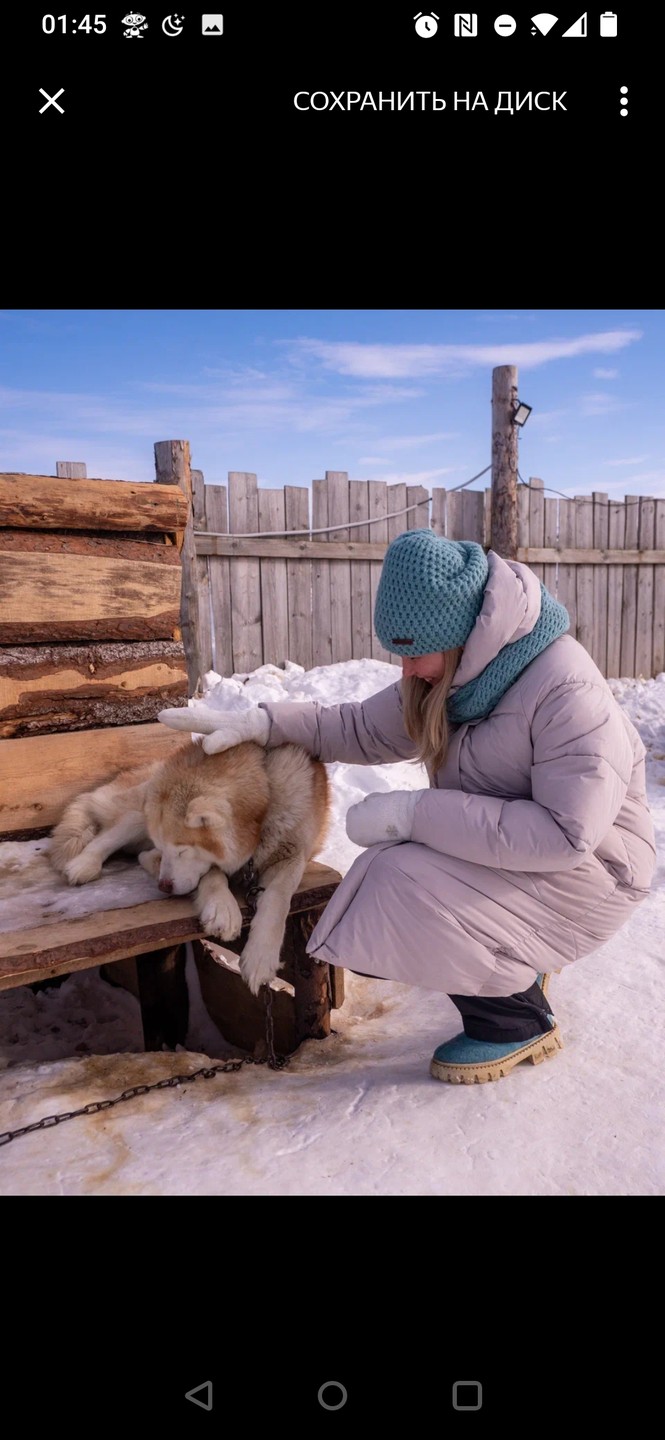 Мы впервые приехали на север и нам хотелось узнать о нём как можно больше в короткие