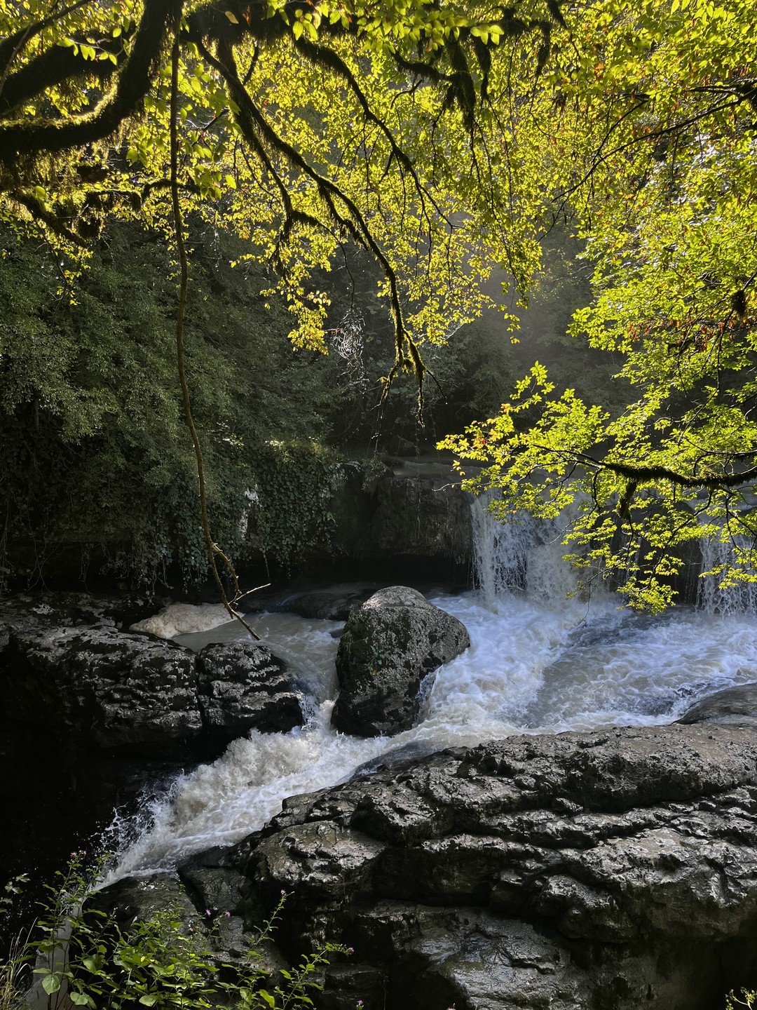 В сердце каньонов: путешествие по следам воды и ветра - из Батуми (Варвара)