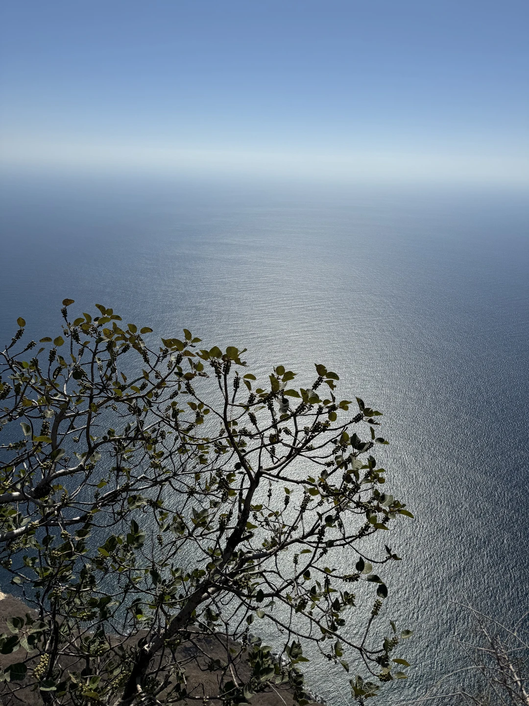 Спасибо большое Надежде за прекрасную экскурсию! Мы посмотрели очень много красивых достопримечательностей, я смогла задать все