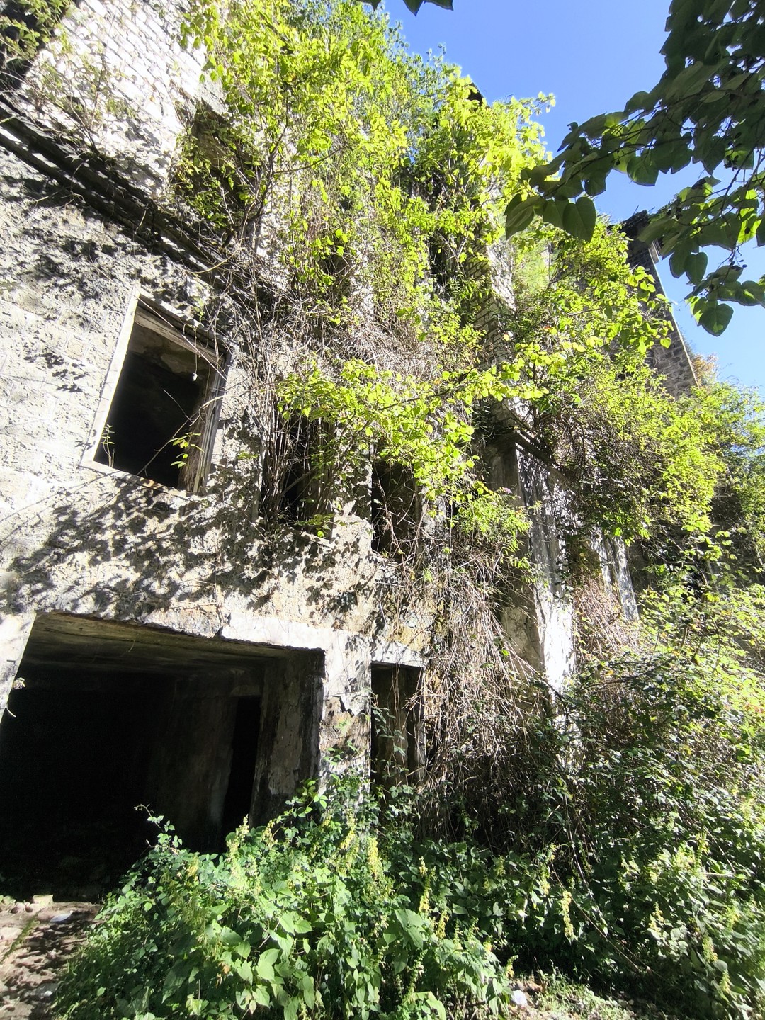 Экскурсия организована отлично, грамотно продуман маршрут. Большое спасибо нашему гиду Паше, он виртуозно объехал все туристические