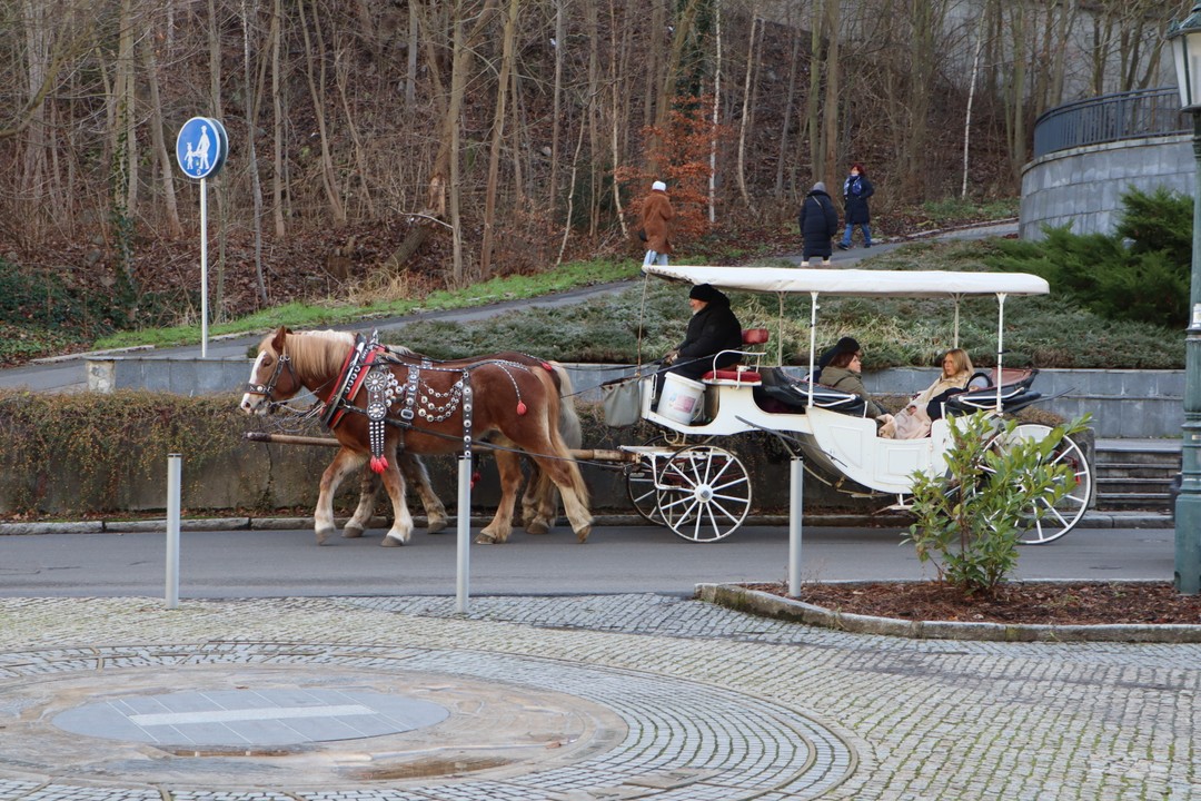 Прекрасное место и отличный экскурсовод. Есть что послушать и что увидеть, а также чем заняться в