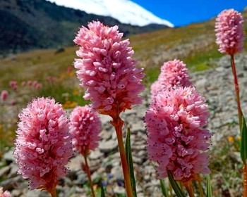 Ущелье замков, водопады и купание в нарзанных ваннах