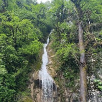 Отзыв о экскурсии "Из Гагры — в сказочный мир горных озёр и водопадов" — фото 6