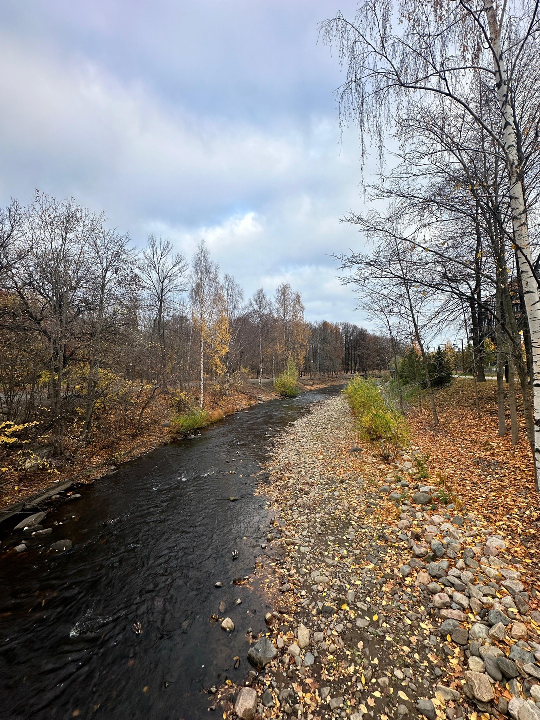 Петрозаводск в трех веках (Диана)