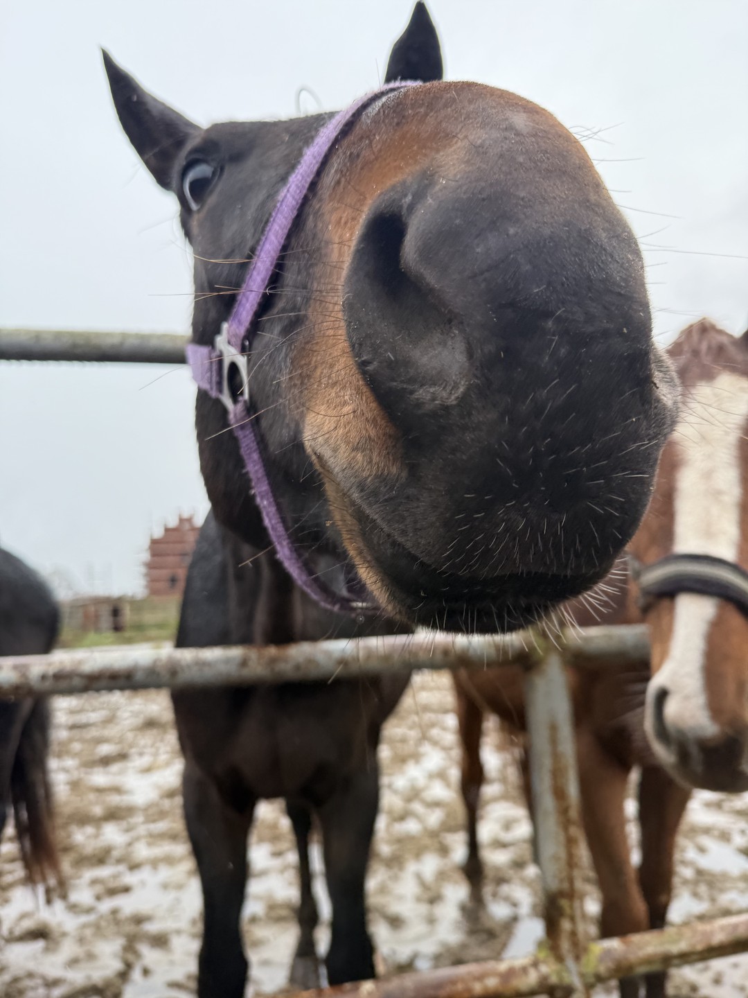 Шикарная экскурсия, нас забрали прямо от места проживания на комфортном и чистом автомобиле